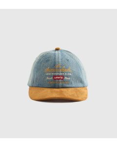 Levi's® Men's Graphic Relaxed Dad Cap
